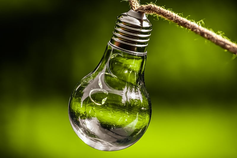 Sustainability Leader